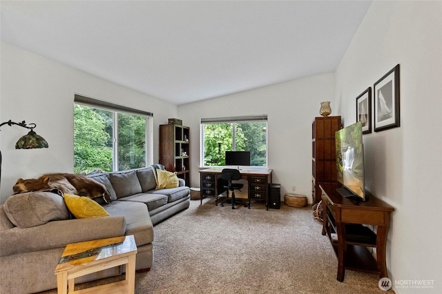 1555 Silver Lake Rd, Oak Harbor, WA 98277 - carpeted living room with healthy amount of natural light, an office area, and vaulted ceiling