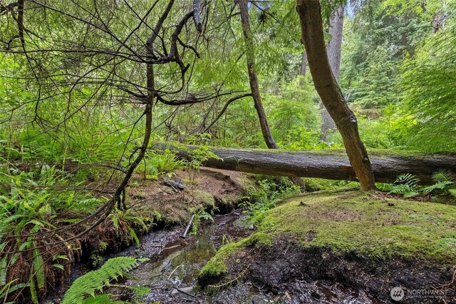 1555 Silver Lake Rd, Oak Harbor, WA 98277 - view of wooded area