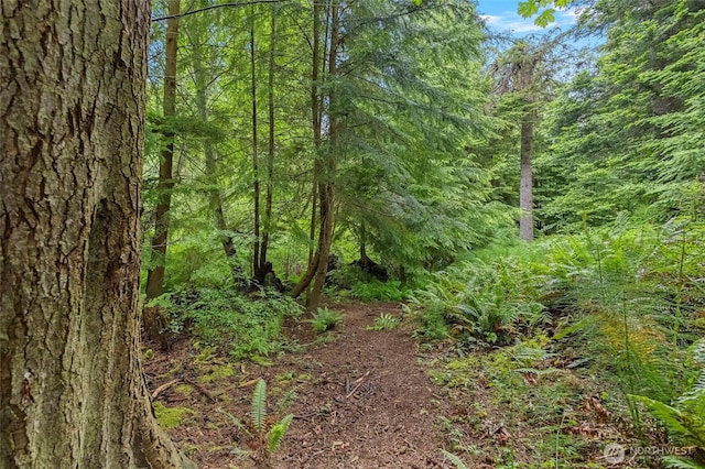 1555 Silver Lake Rd, Oak Harbor, WA 98277 - view of wooded area