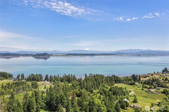 1555 Silver Lake Rd, Oak Harbor, WA 98277 - water view with a mountain backdrop
