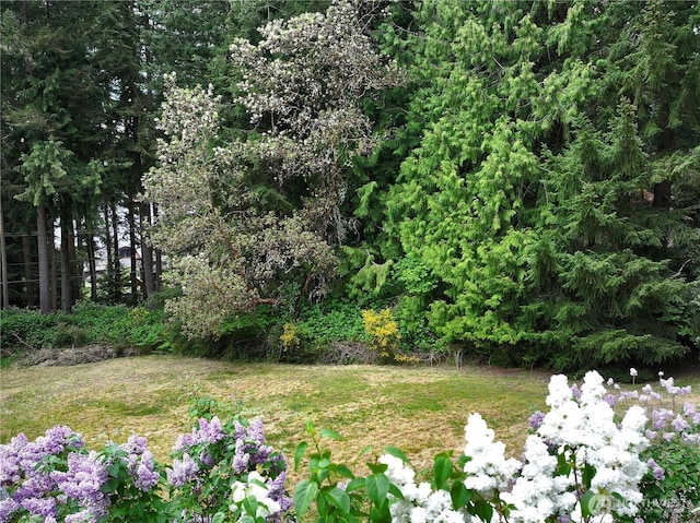 0 April Dr, Langley, WA 98260