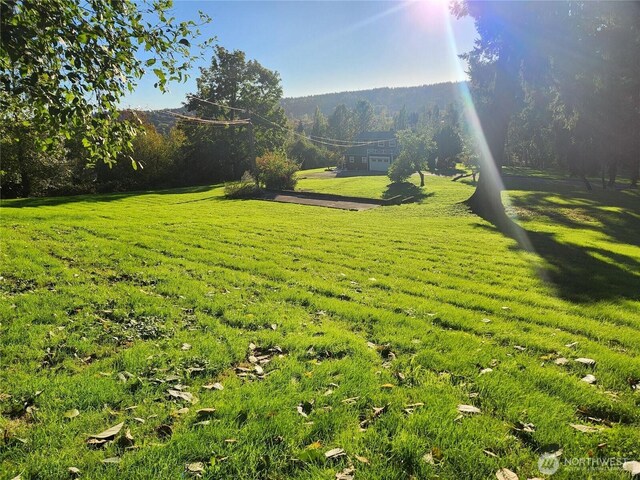 9859 Redmond Woodinville Rd NE, Redmond, WA 98052 - photo 8