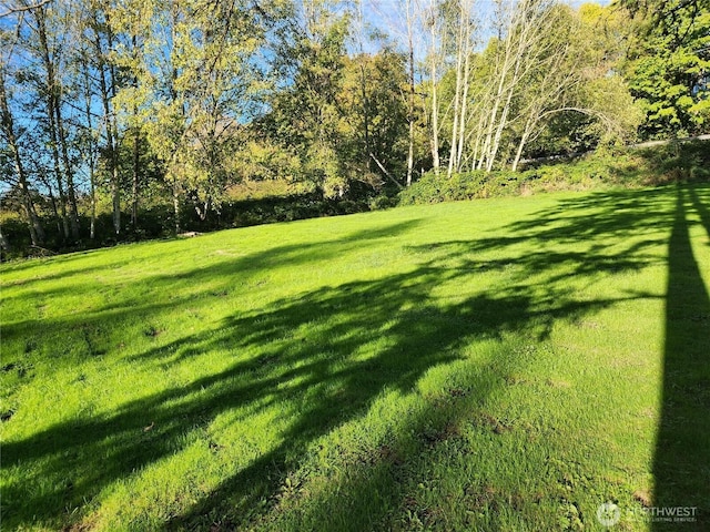 9859 Redmond Woodinville Rd NE, Redmond, WA 98052 - photo 7