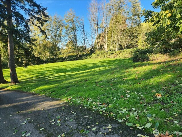 9859 Redmond Woodinville Rd NE, Redmond, WA 98052 - photo 10