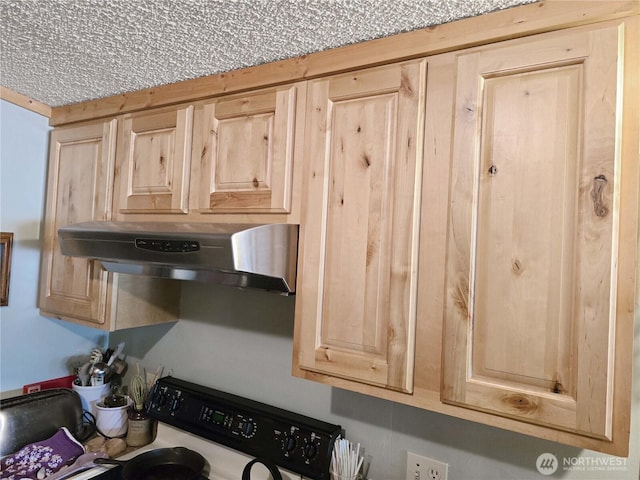 3516 Harrison Ave Unit H, Centralia, WA 98531 - kitchen view of under cabinet range hood, light brown cabinetry, and stove