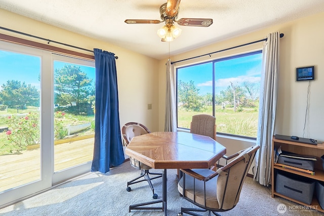 33612 I St, Ocean Park, WA 98640 - dining area featuring light carpet, a ceiling fan, and a desk