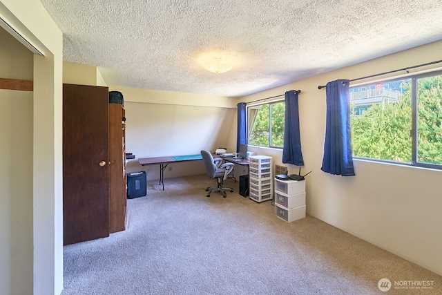33612 I St, Ocean Park, WA 98640 - carpeted office with a textured ceiling