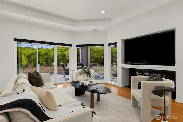 living area with healthy amount of natural light, wood finished floors, recessed lighting, and a raised ceiling