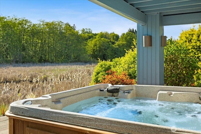 view of pool with a hot tub