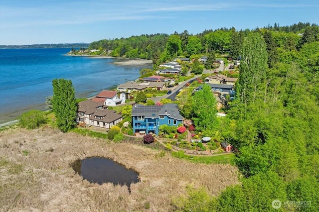 bird's eye view of a large body of water