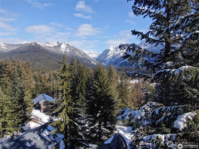 750 Snoqualmie Dr, Snoqualmie Pass, WA 98068 - photo 2