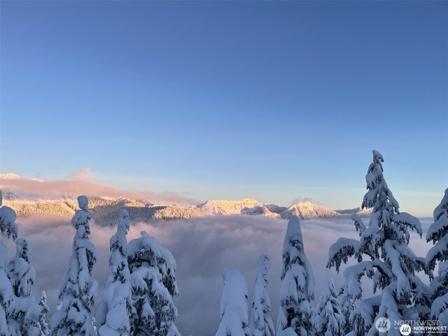 750 Snoqualmie Dr, Snoqualmie Pass, WA 98068 - photo 9