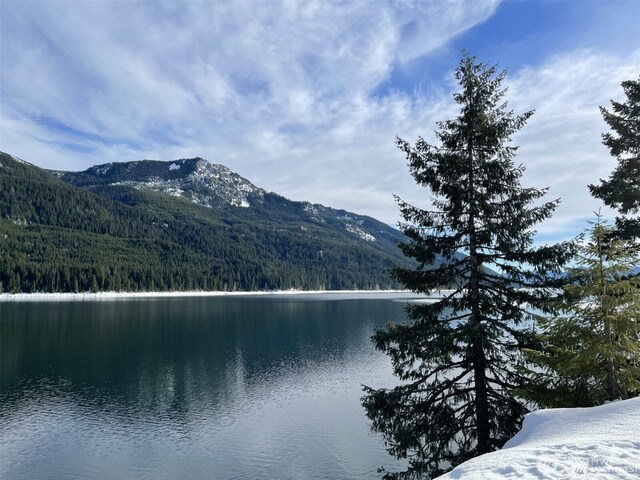 750 Snoqualmie Dr, Snoqualmie Pass, WA 98068 - photo 13