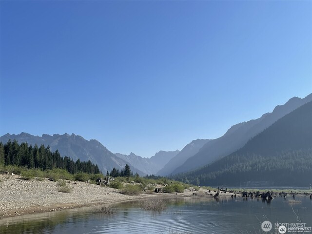 750 Snoqualmie Dr, Snoqualmie Pass, WA 98068 - photo 14