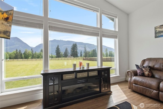 living area featuring a mountain view, plenty of natural light, and wood finished floors