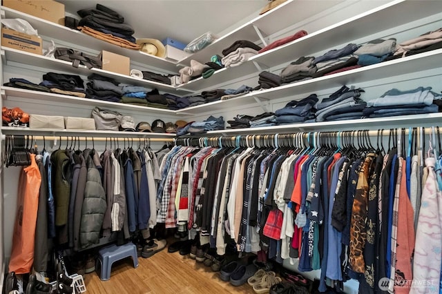 spacious closet with wood finished floors