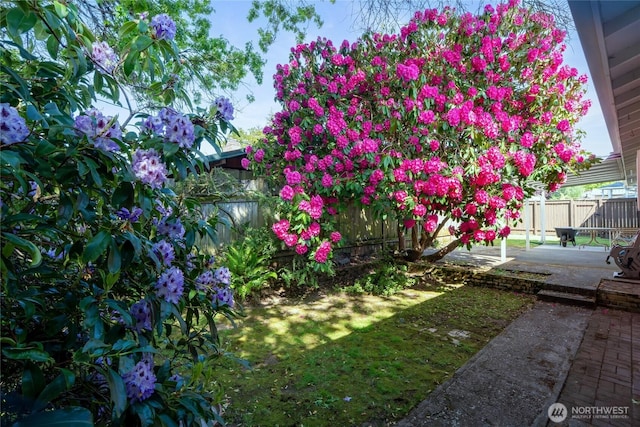 1102 S Villard St, Tacoma, WA 98465 - view of yard featuring fence and a patio