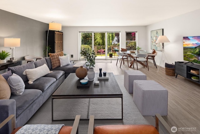 living area with wood finished floors