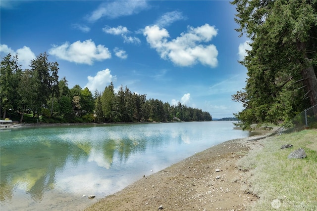 2419 Rocky Point Rd NW, Bremerton, WA 98312 - water view featuring a heavily wooded area