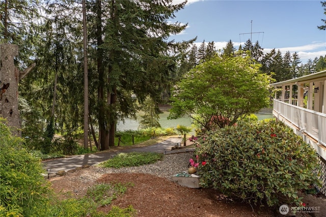 2419 Rocky Point Rd NW, Bremerton, WA 98312 - view of yard