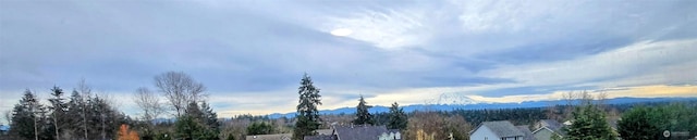 13617 68th Avenue Ct E, Puyallup, WA 98373 - photo 22