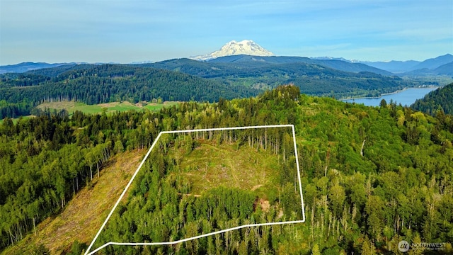 52509 127th Ave E, Eatonville, WA 98328