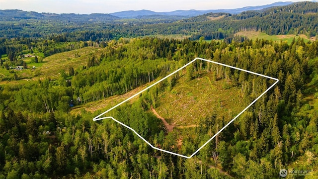 52509 127th Ave E, Eatonville, WA 98328