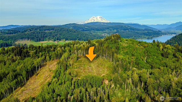 52509 127th Ave E, Eatonville, WA 98328