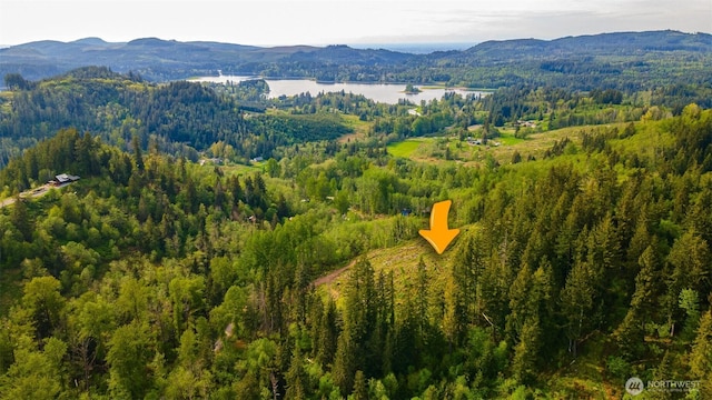 52509 127th Ave E, Eatonville, WA 98328