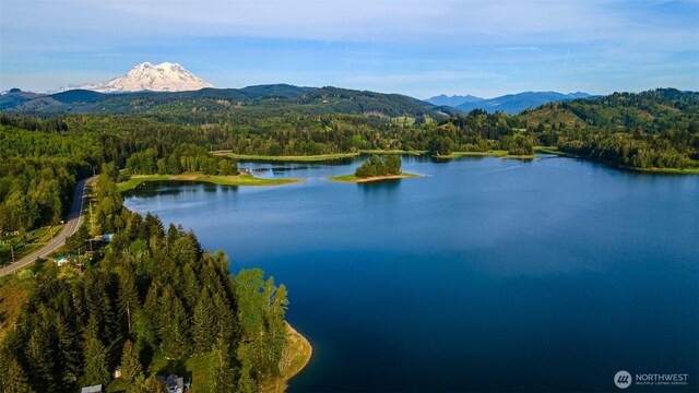 52509 127th Ave E, Eatonville, WA 98328
