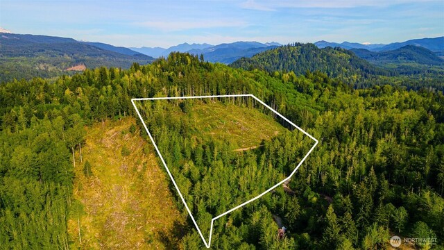 52509 127th Ave E, Eatonville, WA 98328