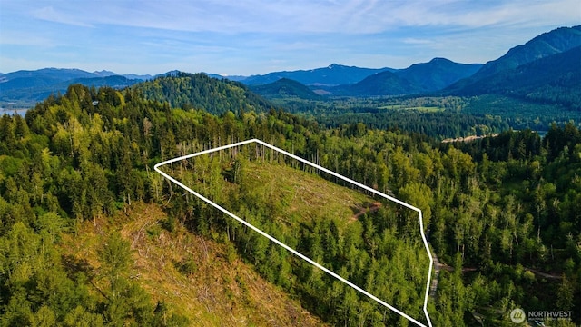 52509 127th Ave E, Eatonville, WA 98328