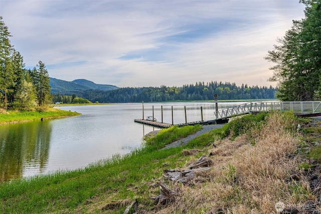 52509 127th Ave E, Eatonville, WA 98328