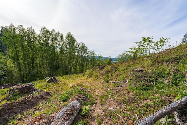 52509 127th Ave E, Eatonville, WA 98328