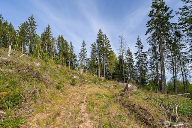52509 127th Ave E, Eatonville, WA 98328