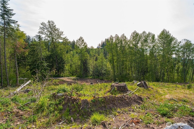 52509 127th Ave E, Eatonville, WA 98328