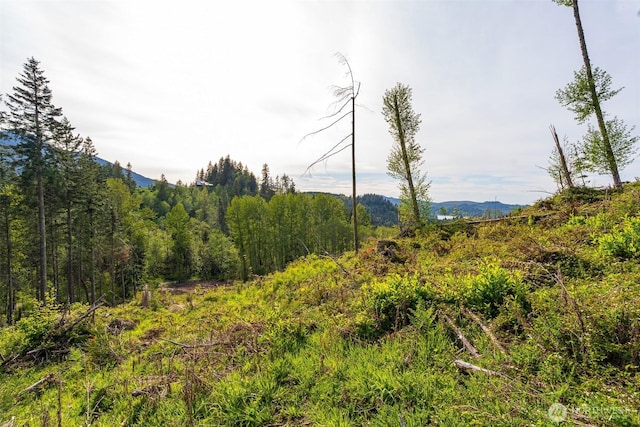 52509 127th Ave E, Eatonville, WA 98328