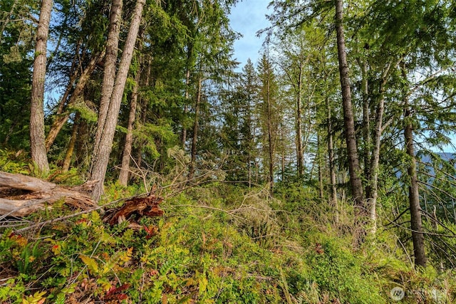 52509 127th Ave E, Eatonville, WA 98328