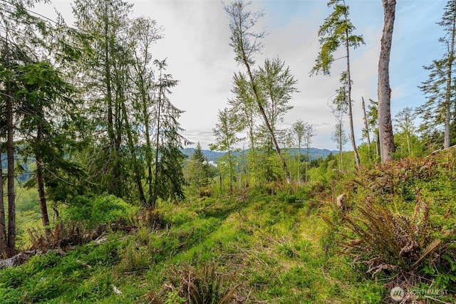 52509 127th Ave E, Eatonville, WA 98328