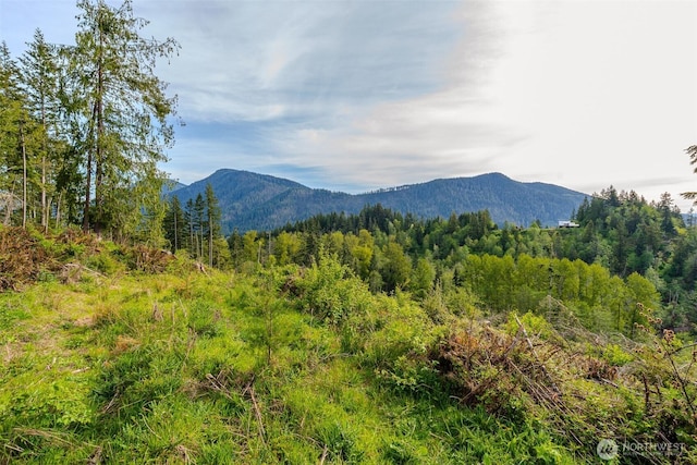 52509 127th Ave E, Eatonville, WA 98328
