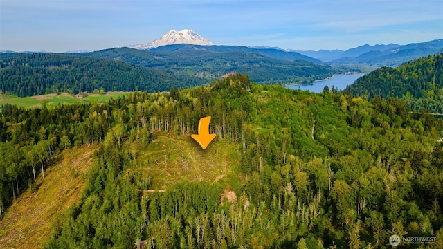 52509 127th Ave E, Eatonville, WA 98328