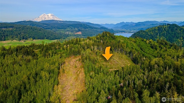 52509 127th Ave E, Eatonville, WA 98328
