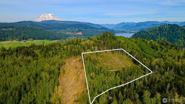 52509 127th Ave E, Eatonville, WA 98328