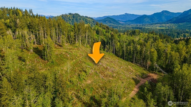 52509 127th Ave E, Eatonville, WA 98328