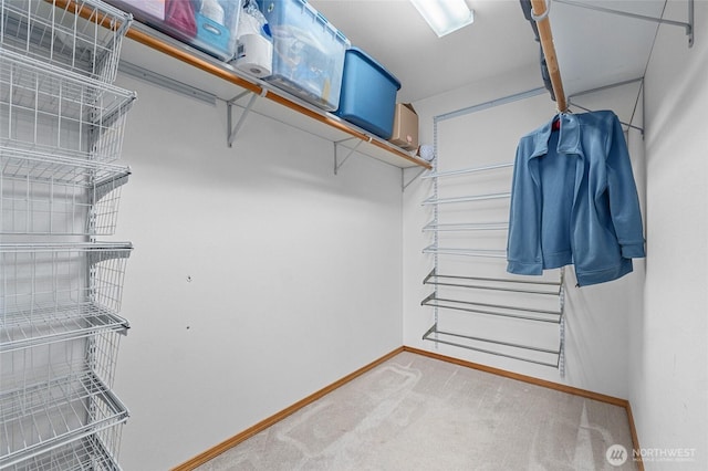 995 S Miner St, Colville, WA 99114 - spacious closet featuring carpet