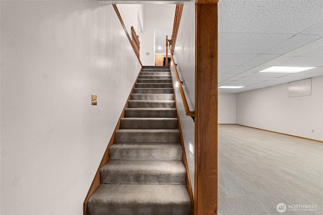 995 S Miner St, Colville, WA 99114 - stairway featuring a paneled ceiling, carpet floors, and baseboards
