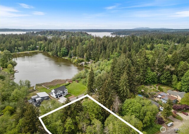 6813 82nd Ave NW, Gig Harbor, WA 98335 - photo 34