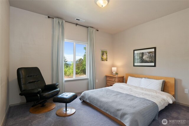 323 E Alderwood Rd, Belfair, WA 98528 - photo 26