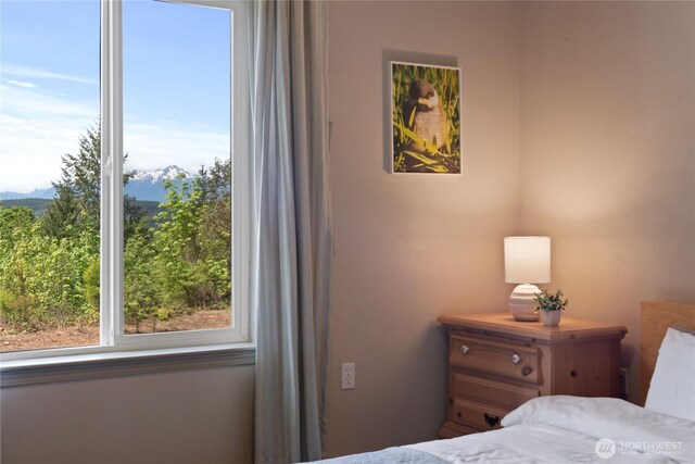 323 E Alderwood Rd, Belfair, WA 98528 - photo 27
