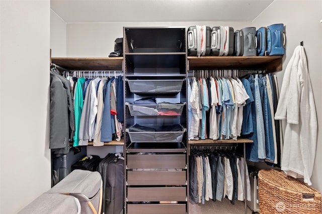 191 E Sterling Dr, Allyn, WA 98524 - view of walk in closet
